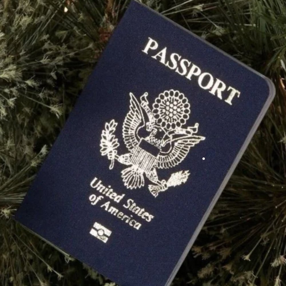 USA SANTA Passport Christmas Ornament ~ Realistic * World Travel ~ Wondershop - Picture 2 of 8